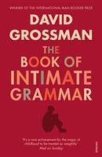 Cover: 9780099552321 | The Book Of Intimate Grammar | David Grossman | Taschenbuch | 343 S.
