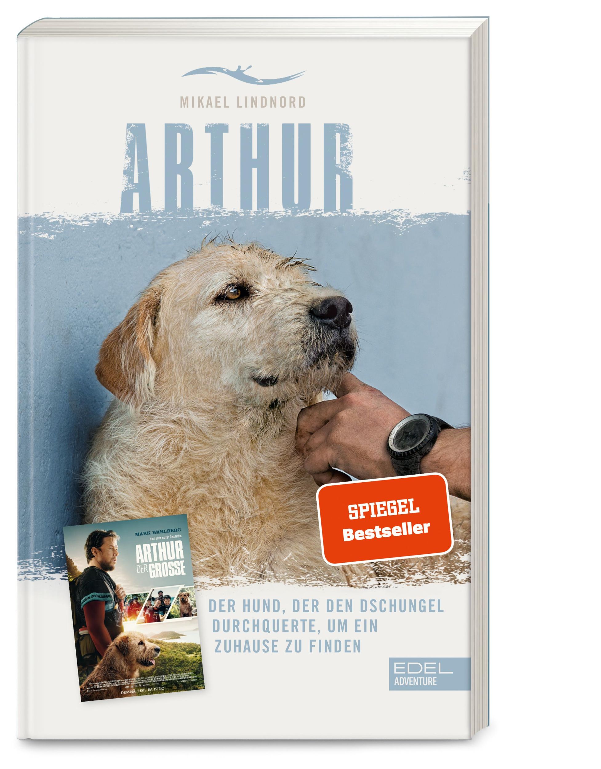 Cover: 9783689650001 | Arthur. Der Hund, der den Dschungel durchquerte, um ein Zuhause zu...